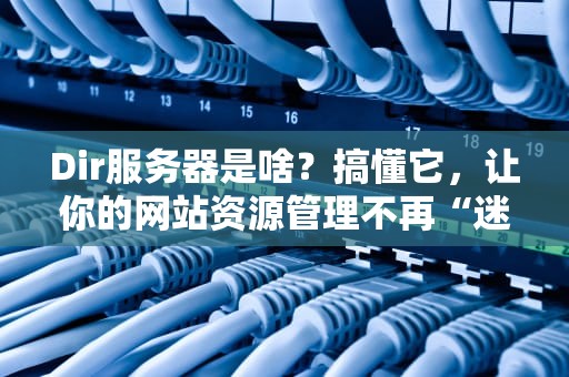 Dir服务器是啥？搞懂它，让你的网站资源管理不再“迷路”！