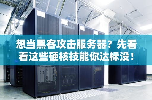 想当黑客攻击服务器？先看看这些硬核技能你达标没！