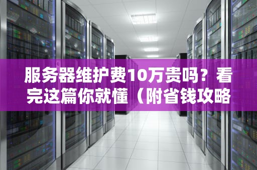 服务器维护费10万贵吗？看完这篇你就懂（附省钱攻略）
