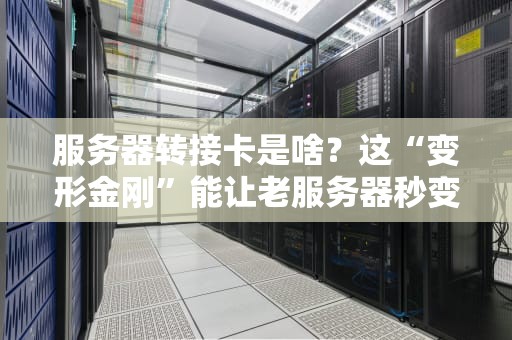 服务器转接卡是啥？这“变形金刚”能让老服务器秒变高富帅！
