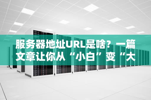 服务器地址URL是啥？一篇文章让你从“小白”变“大神”！