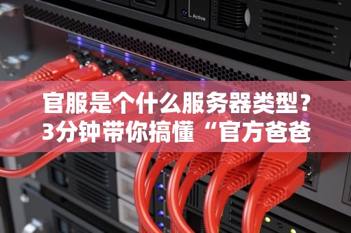 官服是个什么服务器类型？3分钟带你搞懂“官方爸爸”的硬核实力！