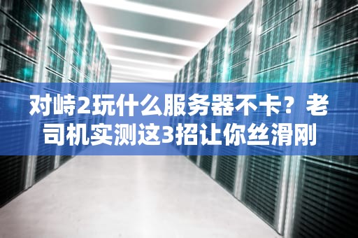 对峙2玩什么服务器不卡？老司机实测这3招让你丝滑刚枪！