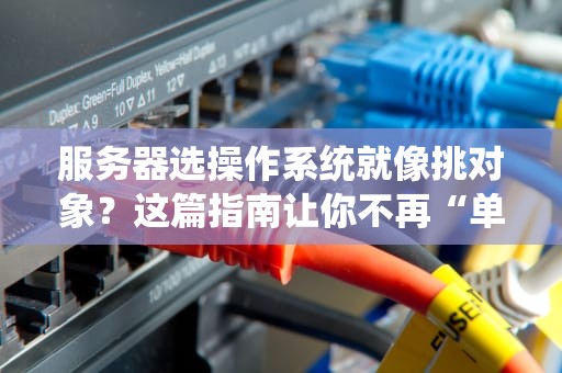 服务器选操作系统就像挑对象？这篇指南让你不再“单身”！（附专业测评）