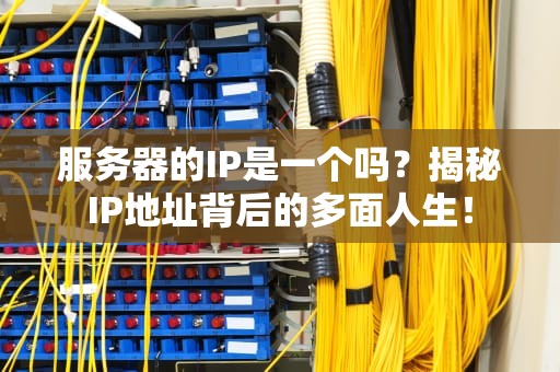 服务器的IP是一个吗？揭秘IP地址背后的多面人生！