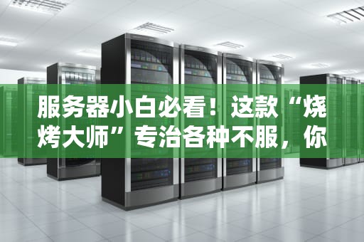服务器小白必看！这款“烧烤大师”专治各种不服，你的服务器还好吗？