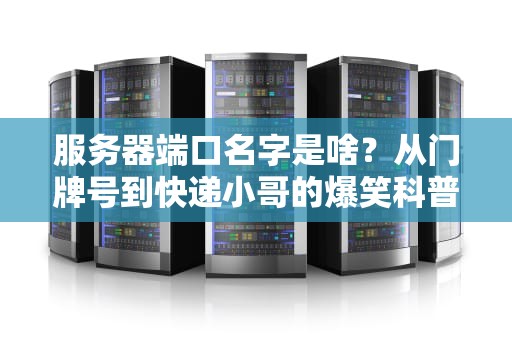 服务器端口名字是啥？从门牌号到快递小哥的爆笑科普