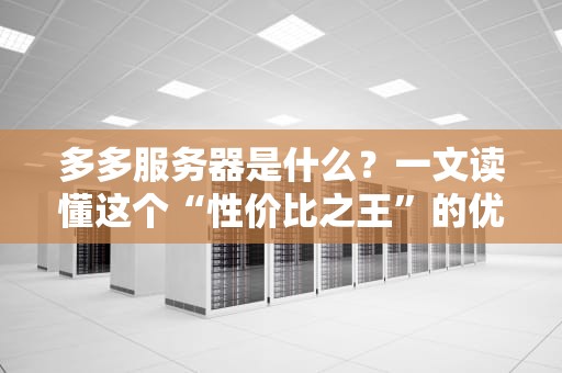 多多服务器是什么？一文读懂这个“性价比之王”的优缺点！