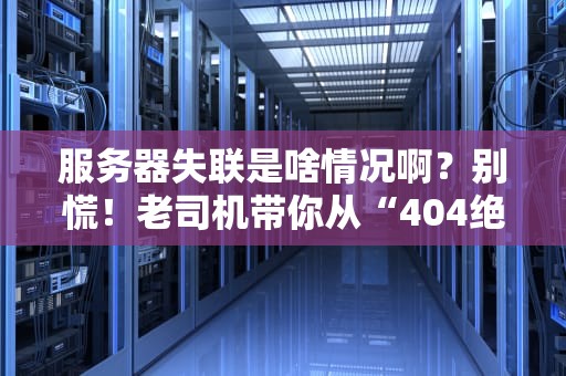 服务器失联是啥情况啊？别慌！老司机带你从“404绝望”到“秒懂修复”