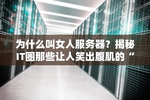 为什么叫女人服务器？揭秘IT圈那些让人笑出腹肌的“性别歧视”梗