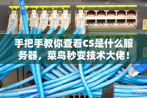 手把手教你查看CS是什么服务器，菜鸟秒变技术大佬！