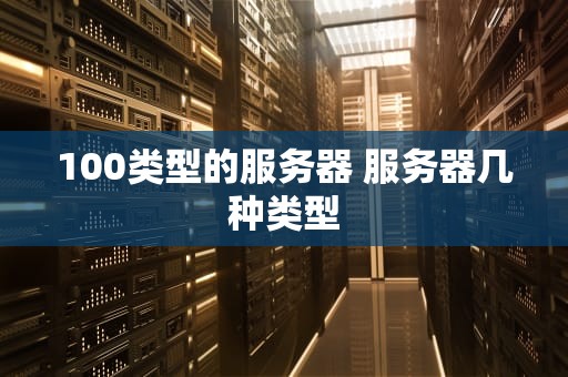100类型的服务器 服务器几种类型