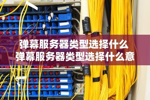弹幕服务器类型选择什么 弹幕服务器类型选择什么意思