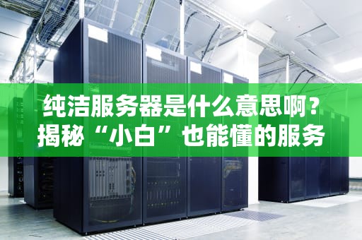 纯洁服务器是什么意思啊？揭秘“小白”也能懂的服务器“白莲花”