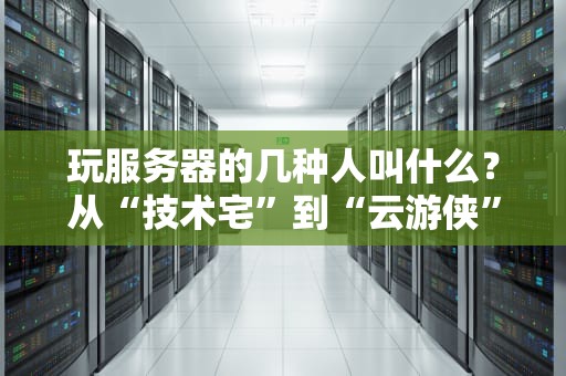 玩服务器的几种人叫什么？从“技术宅”到“云游侠”，你属于哪一类？