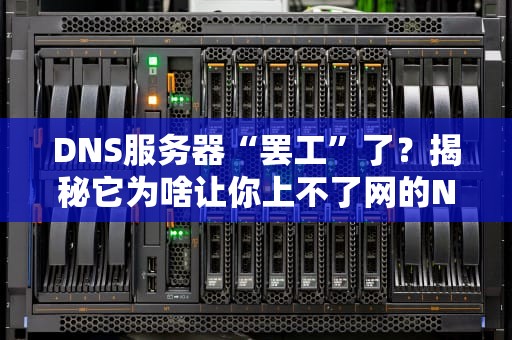 DNS服务器“罢工”了？揭秘它为啥让你上不了网的N种姿势！