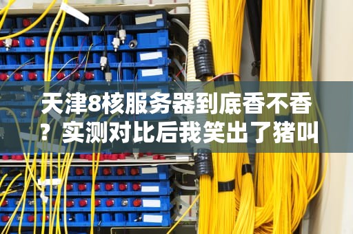 天津8核服务器到底香不香？实测对比后我笑出了猪叫！