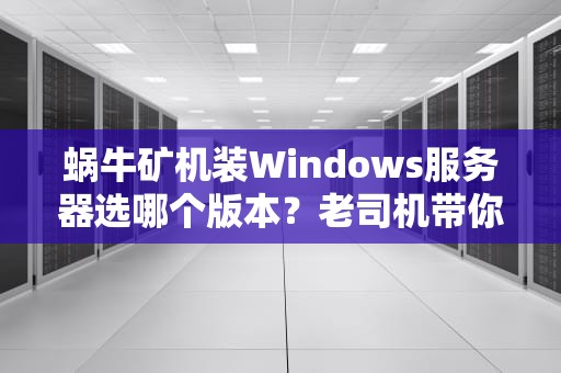 蜗牛矿机装Windows服务器选哪个版本？老司机带你避坑选最优！