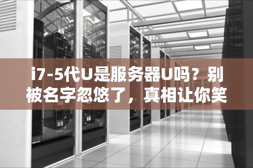 i7-5代U是服务器U吗？别被名字忽悠了，真相让你笑掉大牙！