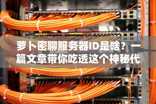 萝卜密聊服务器ID是啥？一篇文章带你吃透这个神秘代码！