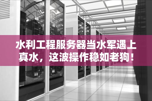水利工程服务器当水军遇上真水，这波操作稳如老狗！