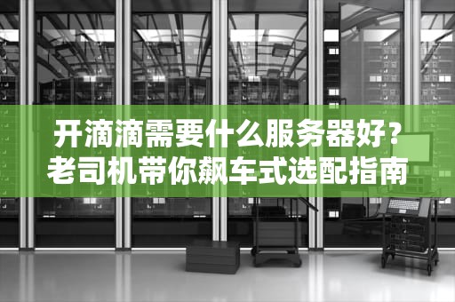 开滴滴需要什么服务器好？老司机带你飙车式选配指南！