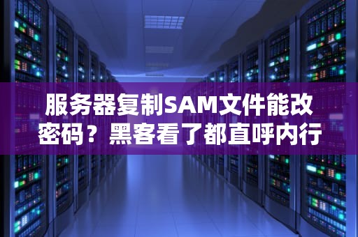 服务器复制SAM文件能改密码？黑客看了都直呼内行！