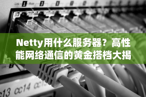 Netty用什么服务器？高性能网络通信的黄金搭档大揭秘！