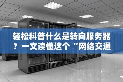 轻松科普什么是转向服务器？一文读懂这个“网络交通警察”的日常
