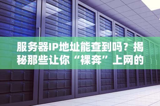 服务器IP地址能查到吗？揭秘那些让你“裸奔”上网的骚操作！