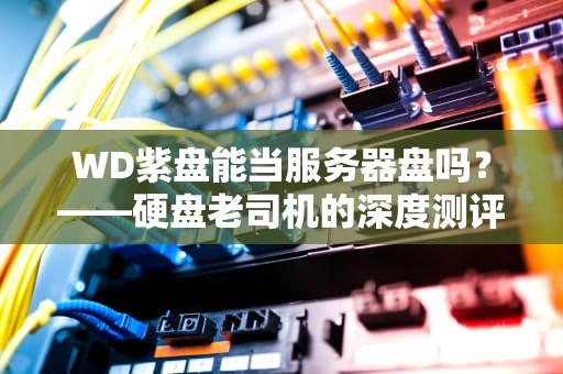 WD紫盘能当服务器盘吗？——硬盘老司机的深度测评+避坑指南