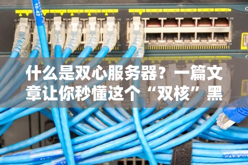 什么是双心服务器？一篇文章让你秒懂这个“双核”黑科技！