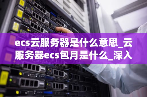 ecs云服务器是什么意思_云服务器ecs包月是什么_深入理解ECS云服务器