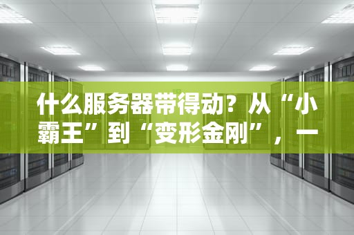什么服务器带得动？从“小霸王”到“变形金刚”，一篇看懂服务器性能选型！