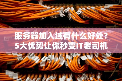 服务器加入域有什么好处？5大优势让你秒变IT老司机！