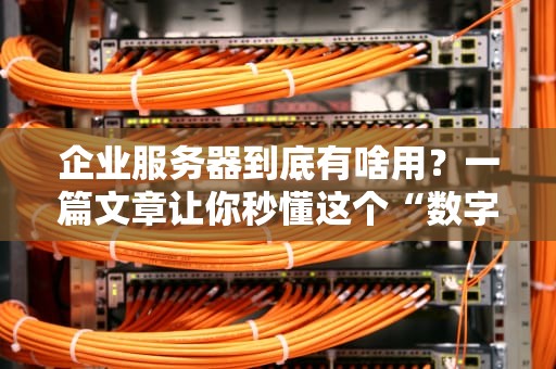 企业服务器到底有啥用？一篇文章让你秒懂这个“数字大管家”的十八般武艺！