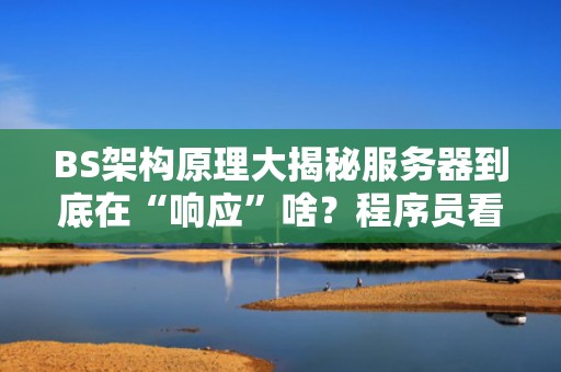 BS架构原理大揭秘服务器到底在“响应”啥？程序员看了直呼内行！
