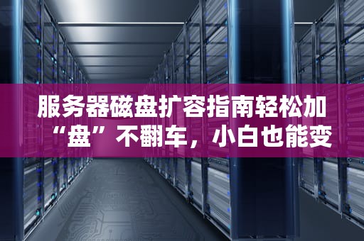 服务器磁盘扩容指南轻松加“盘”不翻车，小白也能变大咖！