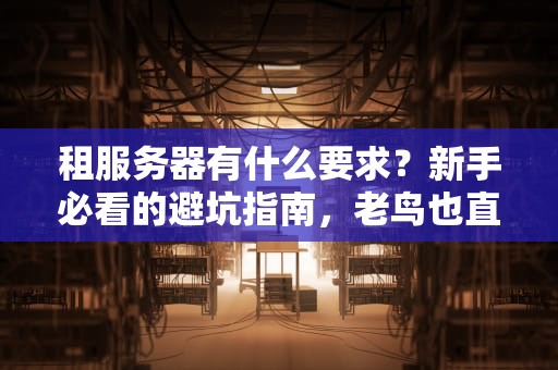 租服务器有什么要求？新手必看的避坑指南，老鸟也直呼内行！
