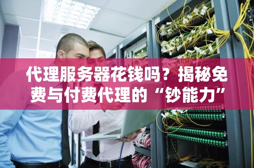 代理服务器花钱吗？揭秘免费与付费代理的“钞能力”对决！