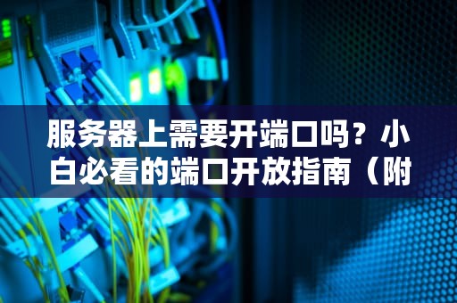 服务器上需要开端口吗？小白必看的端口开放指南（附专业测评）