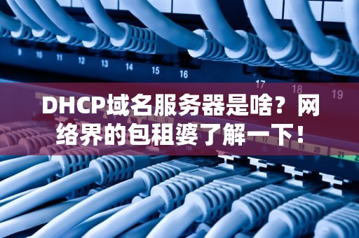 DHCP域名服务器是啥？网络界的包租婆了解一下！