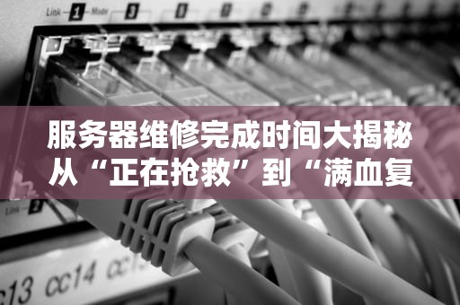 服务器维修完成时间大揭秘从“正在抢救”到“满血复活”的奇幻旅程