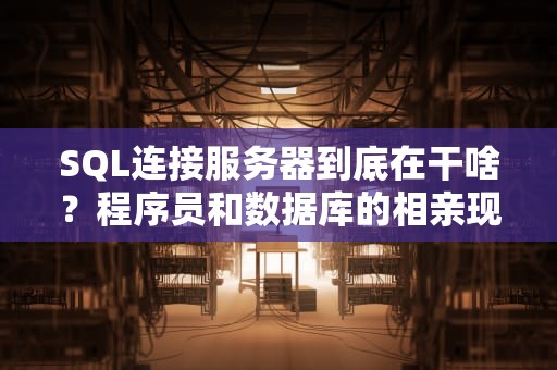 SQL连接服务器到底在干啥？程序员和数据库的相亲现场实录