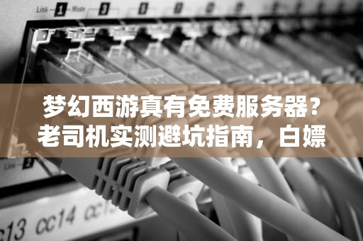 梦幻西游真有免费服务器？老司机实测避坑指南，白嫖党必看！