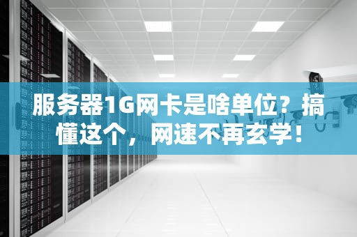 服务器1G网卡是啥单位？搞懂这个，网速不再玄学！