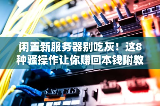 闲置新服务器别吃灰！这8种骚操作让你赚回本钱附教程