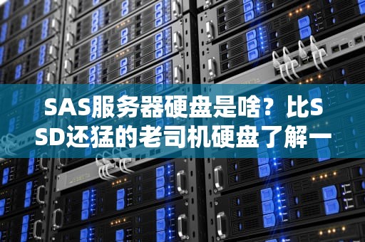 SAS服务器硬盘是啥？比SSD还猛的老司机硬盘了解一下！