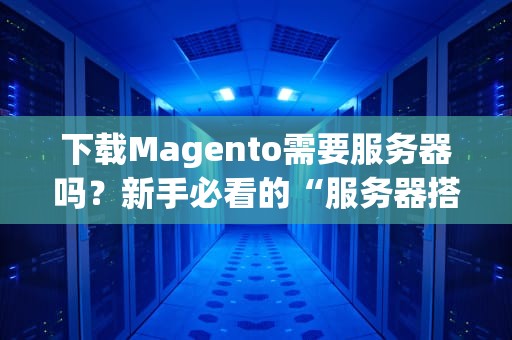 下载Magento需要服务器吗？新手必看的“服务器搭台”指南！