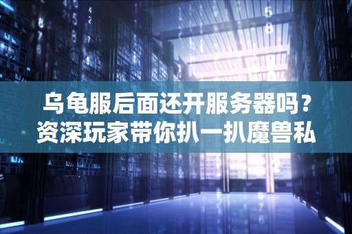 乌龟服后面还开服务器吗？资深玩家带你扒一扒魔兽私服那些事儿！